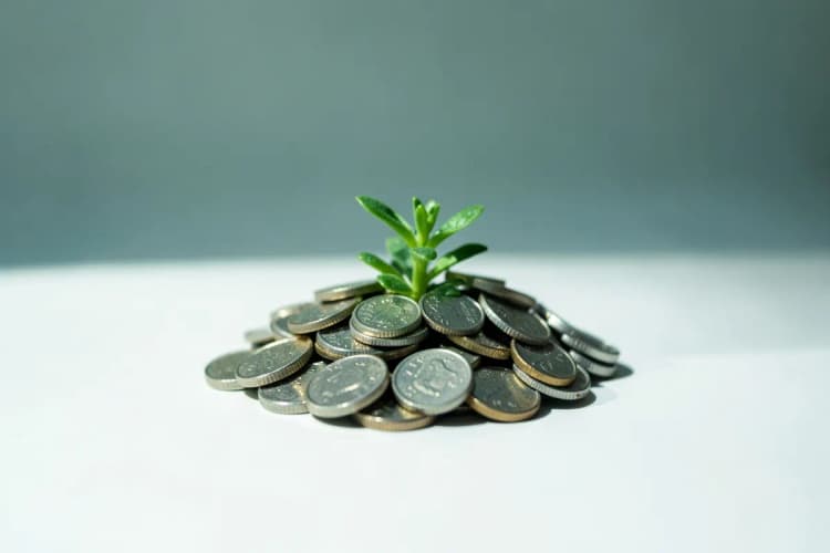 Uma pilha de moedas com uma planta crescendo no meio.
