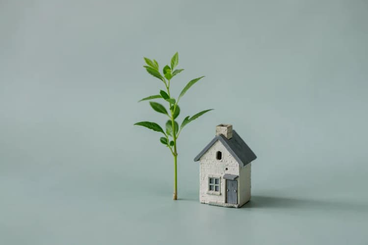 Uma planta crescendo em direção a uma casa em miniatura.