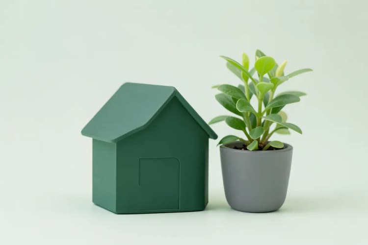 Uma casa em miniatura com uma planta crescendo ao lado.